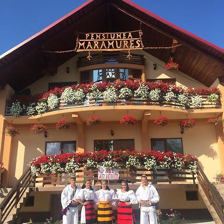 Pensiunea Maramures Ocna Sugatag Exterior photo
