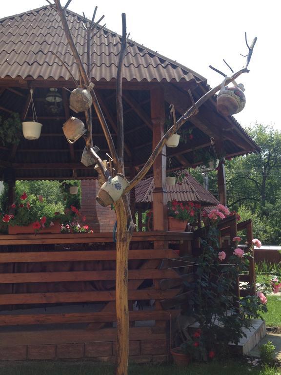 Pensiunea Maramures Ocna Sugatag Exterior photo