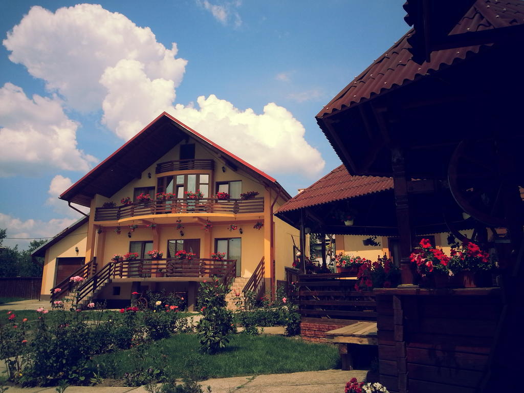 Pensiunea Maramures Ocna Sugatag Exterior photo