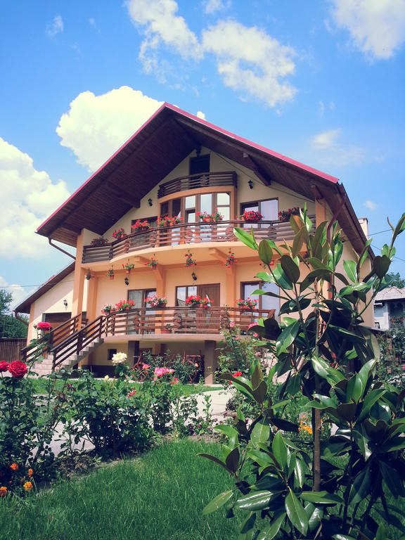 Pensiunea Maramures Ocna Sugatag Exterior photo