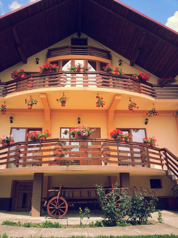 Pensiunea Maramures Ocna Sugatag Exterior photo