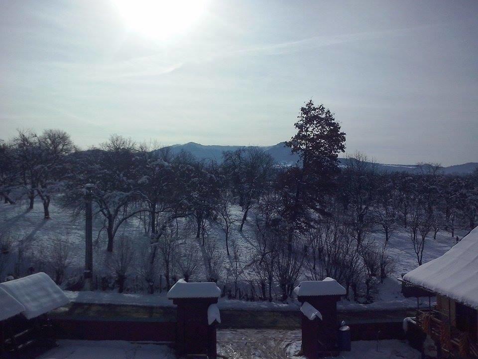 Pensiunea Maramures Ocna Sugatag Exterior photo