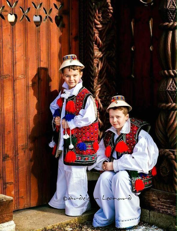 Pensiunea Maramures Ocna Sugatag Exterior photo