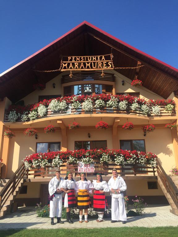 Pensiunea Maramures Ocna Sugatag Exterior photo